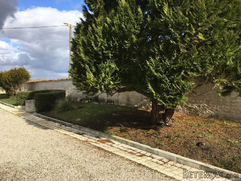 Farmhouse To Renovate With Large Stone.. - 2