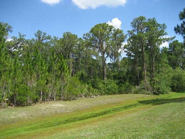 Land For Sale: 7431 201st E St..