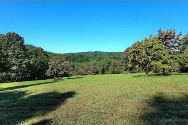 Land For Sale: 134 Mosle Rd - 2