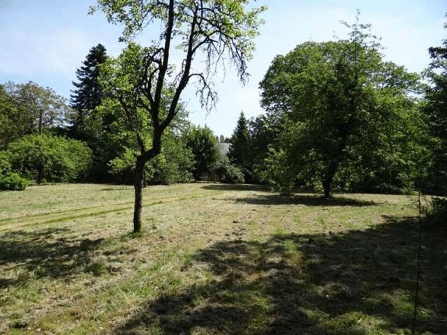 Near Marval, Haute Vienne, Limousin - 2