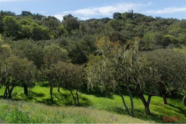 Land For Sale: 0 East Oak Trail, Santa.. - 2