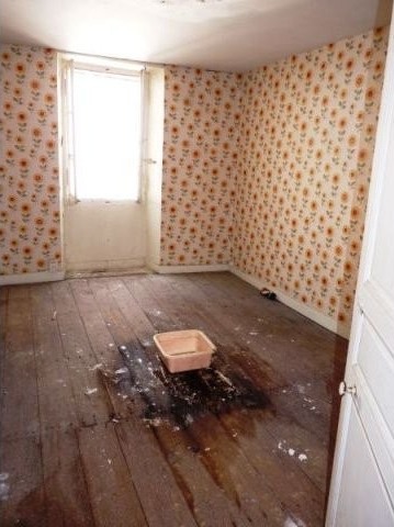 Very spacious town house to renovate.. - 2