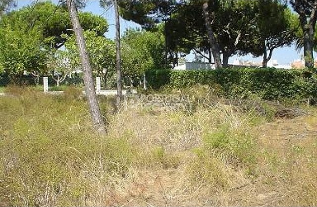 Land for Sale in Vila Sol - 2