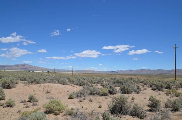 Land For Sale: Smith, Nevada - 2