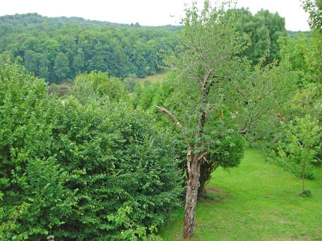 Country Cottage In The Limousin With 3.. - 2