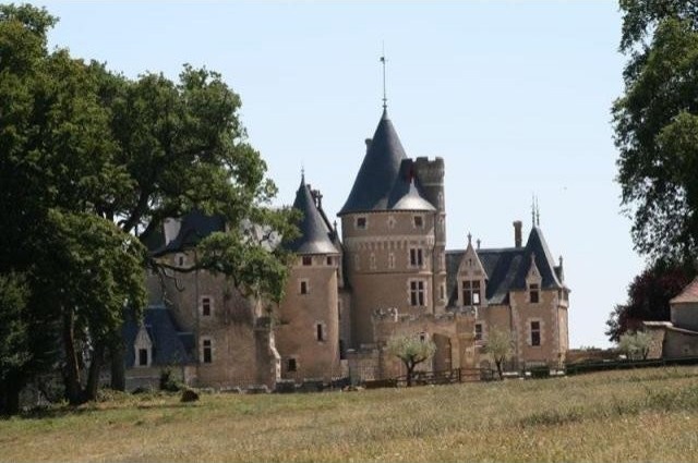 8 bedroom Castle For Sale: 86000 VIENNE - 2