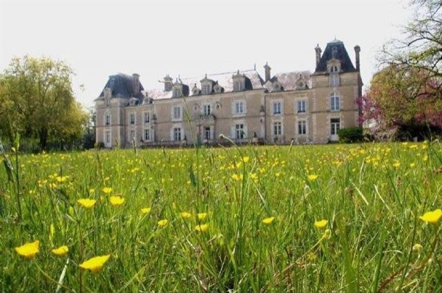 10 bedroom Castle For Sale: 86000 VIENNE
