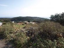 West Crete Real Estate - 2