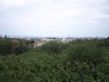 Crete Land For Sale
