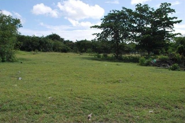 Property For Sale: Dover Pasture..