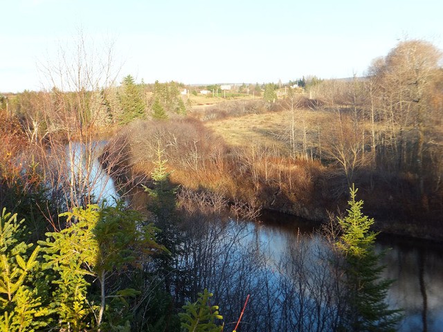 Land For Sale: Lots Big Farm Road Big.. - 2