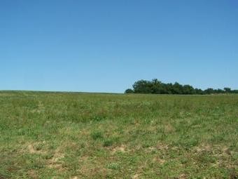 LOT ET GARONNE land constructable of.. - 2