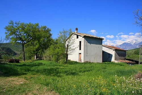 2 detached houses, olive grove and barn.. - 2