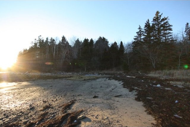 Land For Sale: 125 Mason's Point Road.. - 2