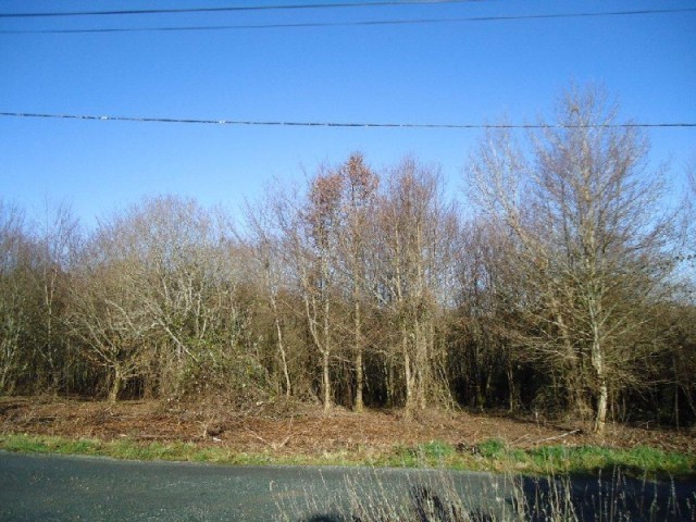 27005 - Vente - Terrain - Vergt - 2