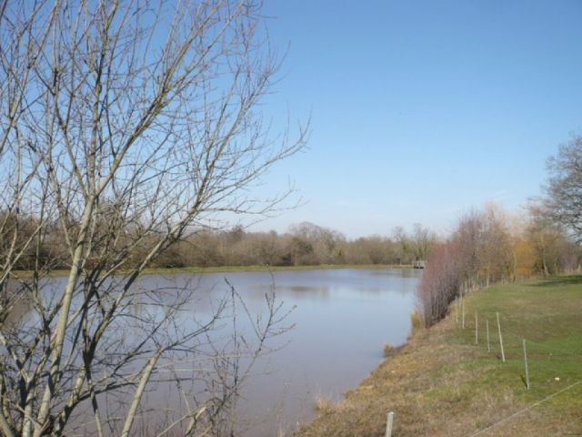 Superb Lakeside Location for this House - 2