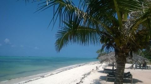 Land For Sale: Zanzibar beach front