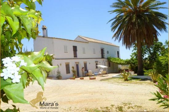 Finca Cortijo casa de campo Andalucia..