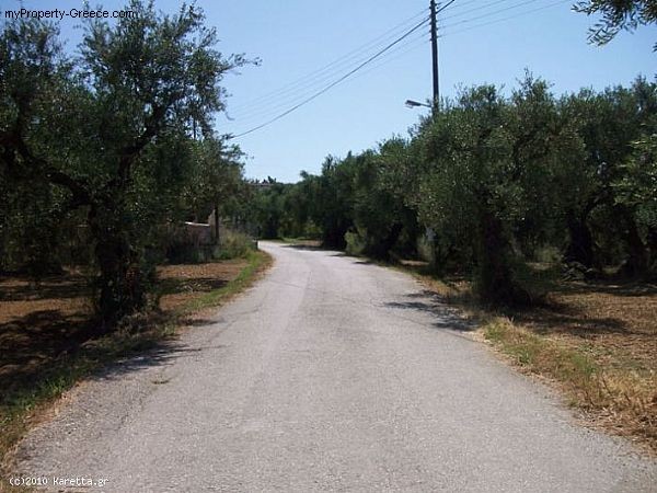 Land - Zakynthos - For Sale - 2