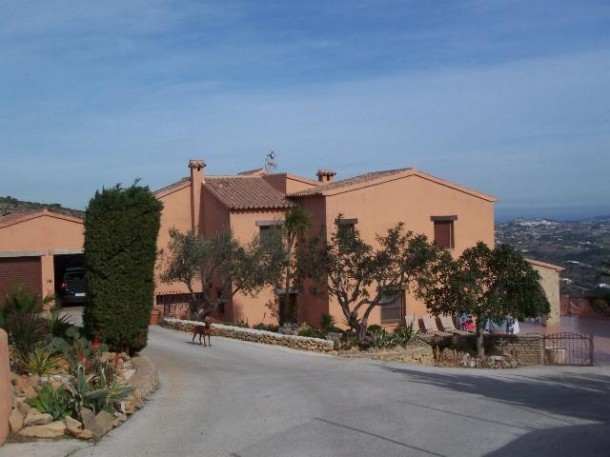 4 Bed 3 Bath Finca In Los Pinos -.. - 2