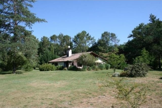 Character For Sale: 33210 LANGON - 2