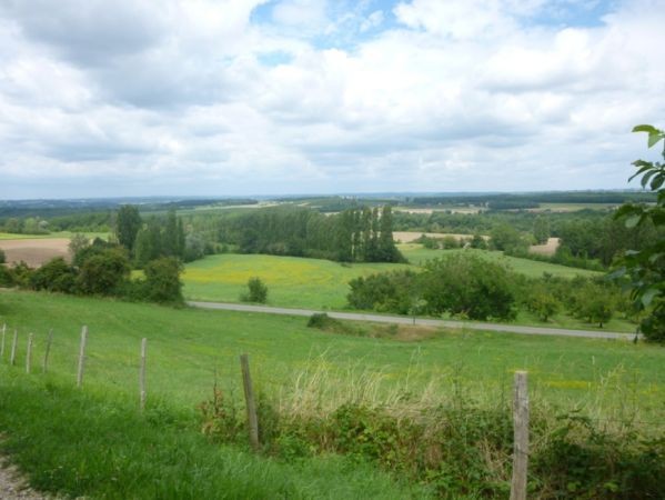 Country House, Guest Cottage and Pool - 2