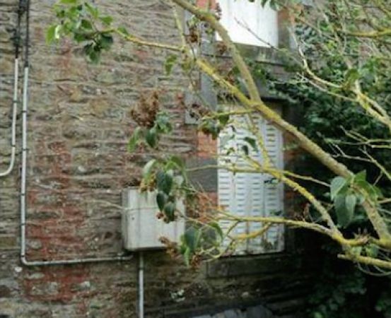 Village House to Renovate