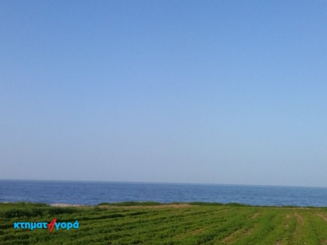 Residential Land in Neo Chorio, Pafos - 2