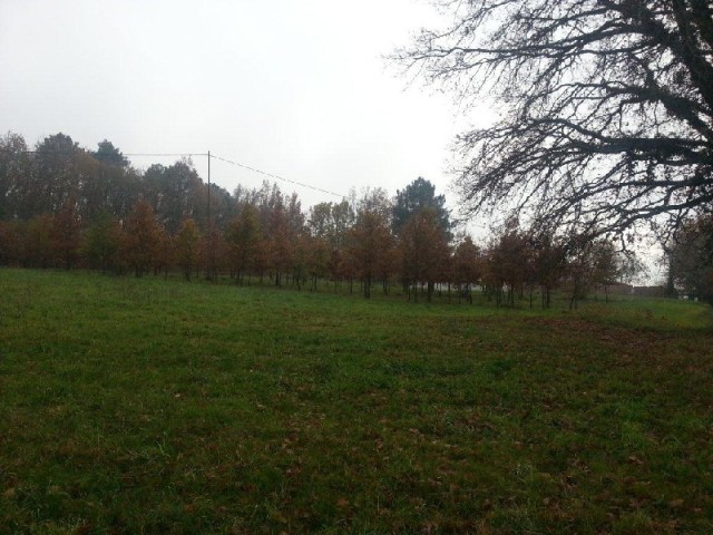 25306 - Vente - Terrain - Vergt - 2