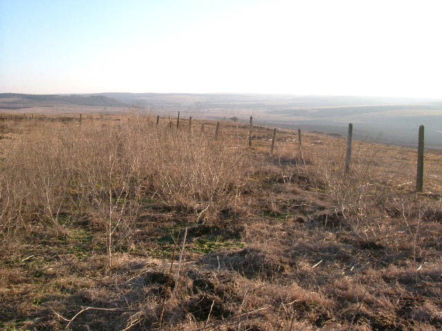 Land in Zlatiya, Dobrich - 2