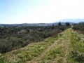 Great Spot For New Residential.. - 2