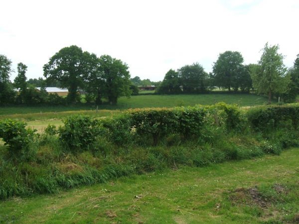 Detached Character Cottage, Outbuildings - 2