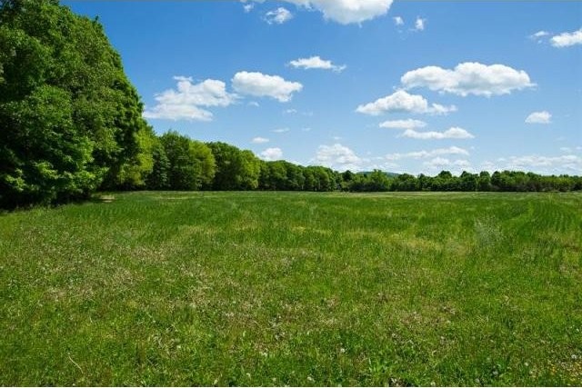 Land For Sale: Gallatin, New York - 2