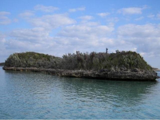 Private Island - Little Gaulding Cay is.. - 2