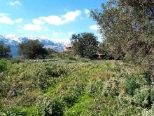 Crete Land - 2