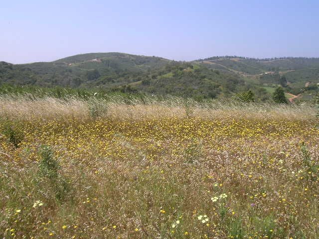 Apartment - Algarve - For Sale - 2