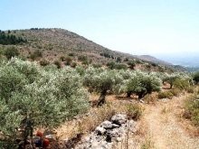 Land Property In Crete - 2
