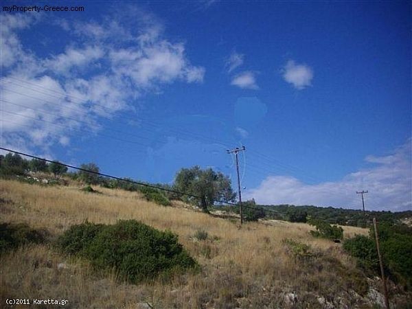 Land - Zakynthos - For Sale - 2