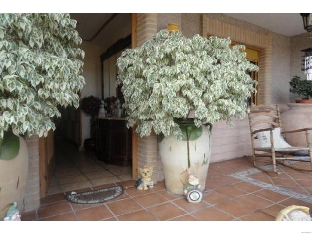 Detached villa for sale 230.000 €.. - 2