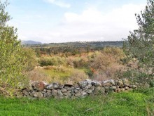 Land For Construction In Crete For Sale