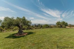 Muro, beautiful finca with chalet on.. - 2