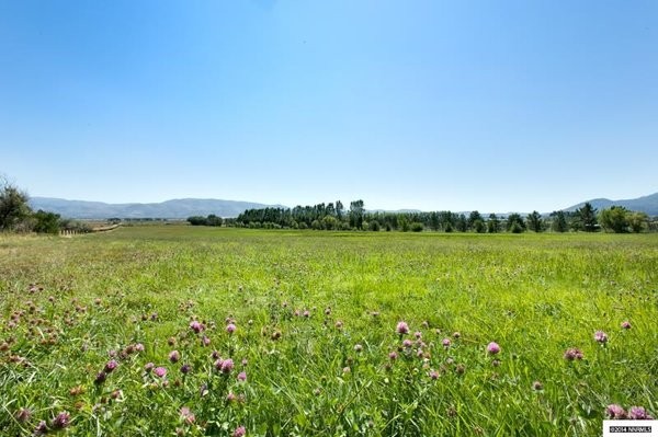 Land For Sale: Washoe Valley, Nevada - 2
