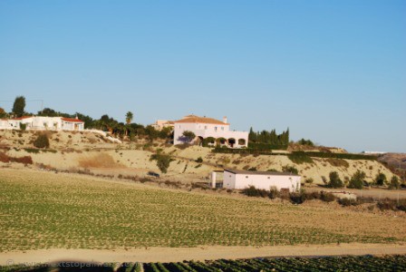 3 bedroom rural house with horse.. - 2