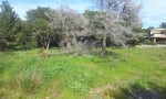 - Land - For Sale