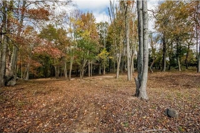 Land For Sale: Greenwich, Connecticut - 2