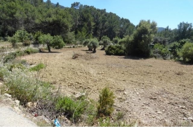 Finca Under Construction In A Quiet.. - 2