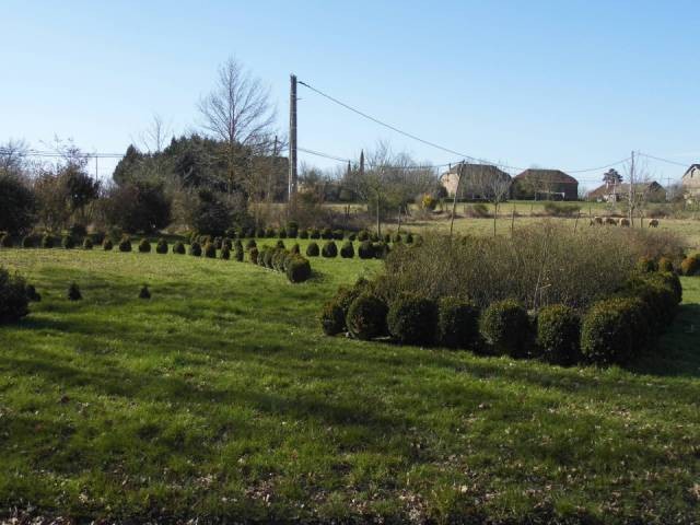 Modern House, Large Plot Near Albi - 2