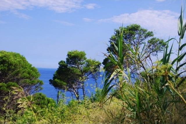Plot of land close to seafront