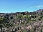 - Property - Malaga - For Sale - 2