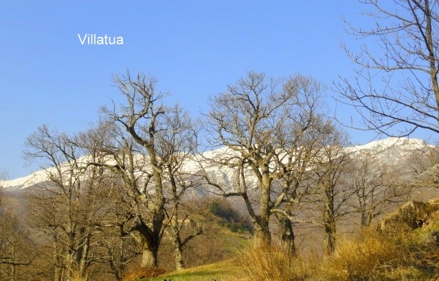 Country/farmhouse - For Sale -.. - 2